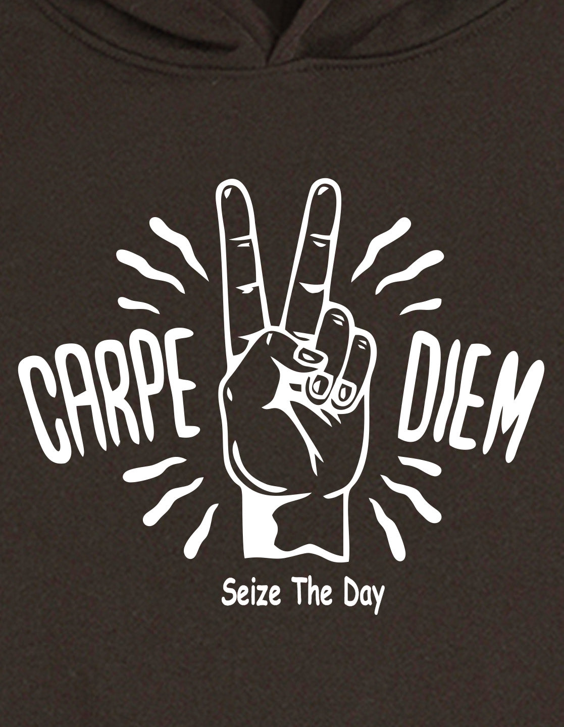 Nusyl Boy's Brown Carpe diem text Printed Hoodie