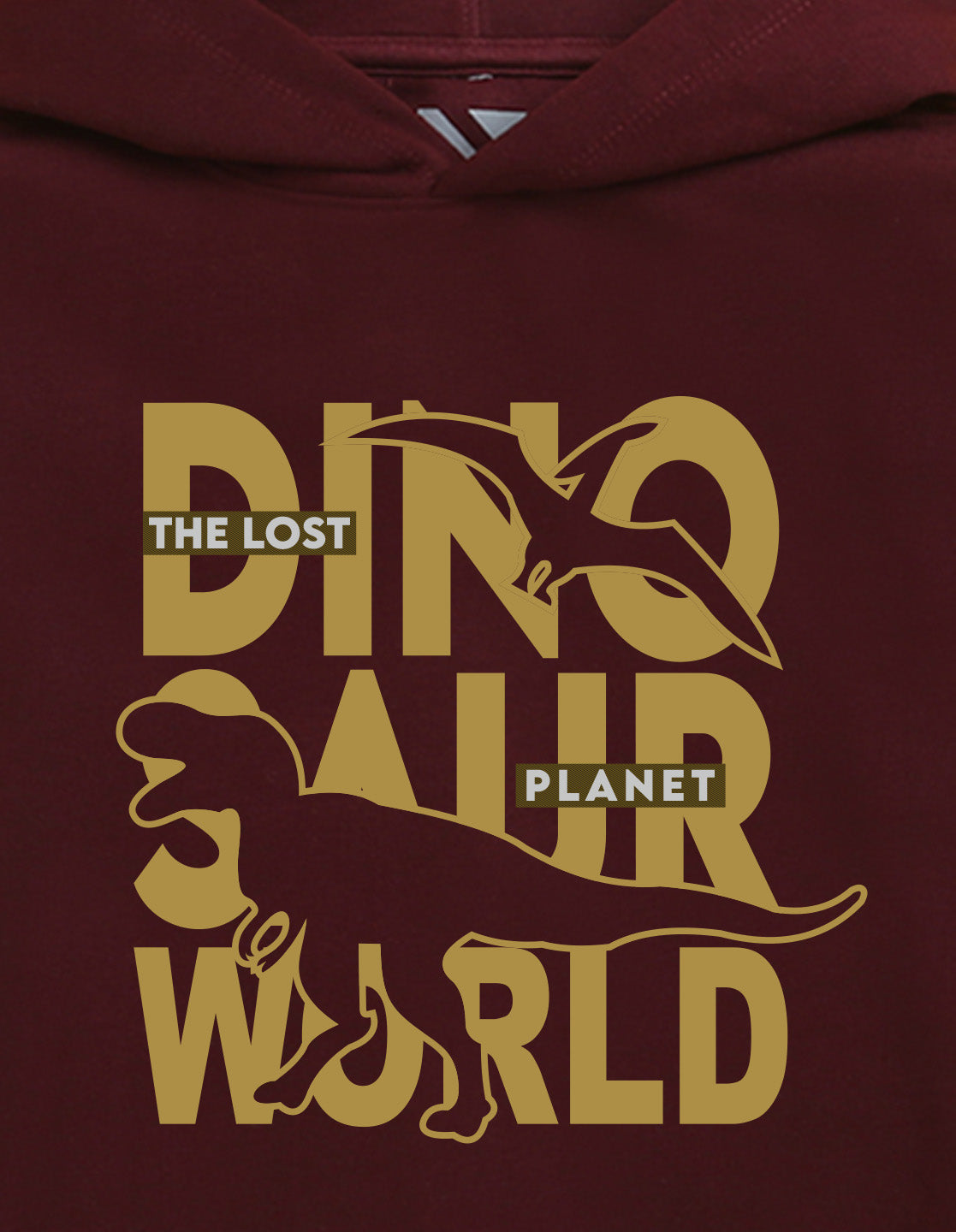 Nusyl Boy's Burgundy Dinosaur Printed Hoodie