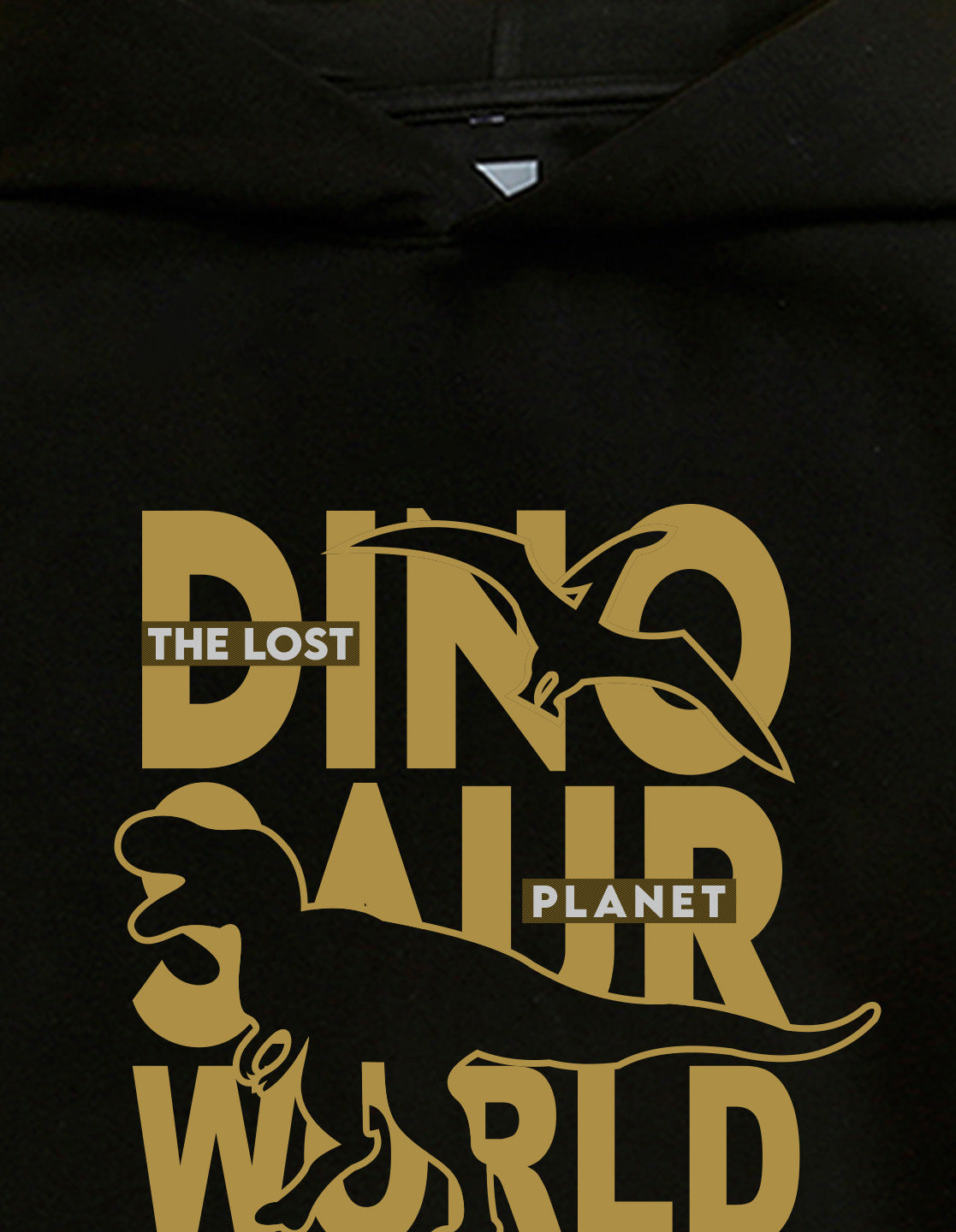 Nusyl Boy's Black Dinosaur Printed Hoodie