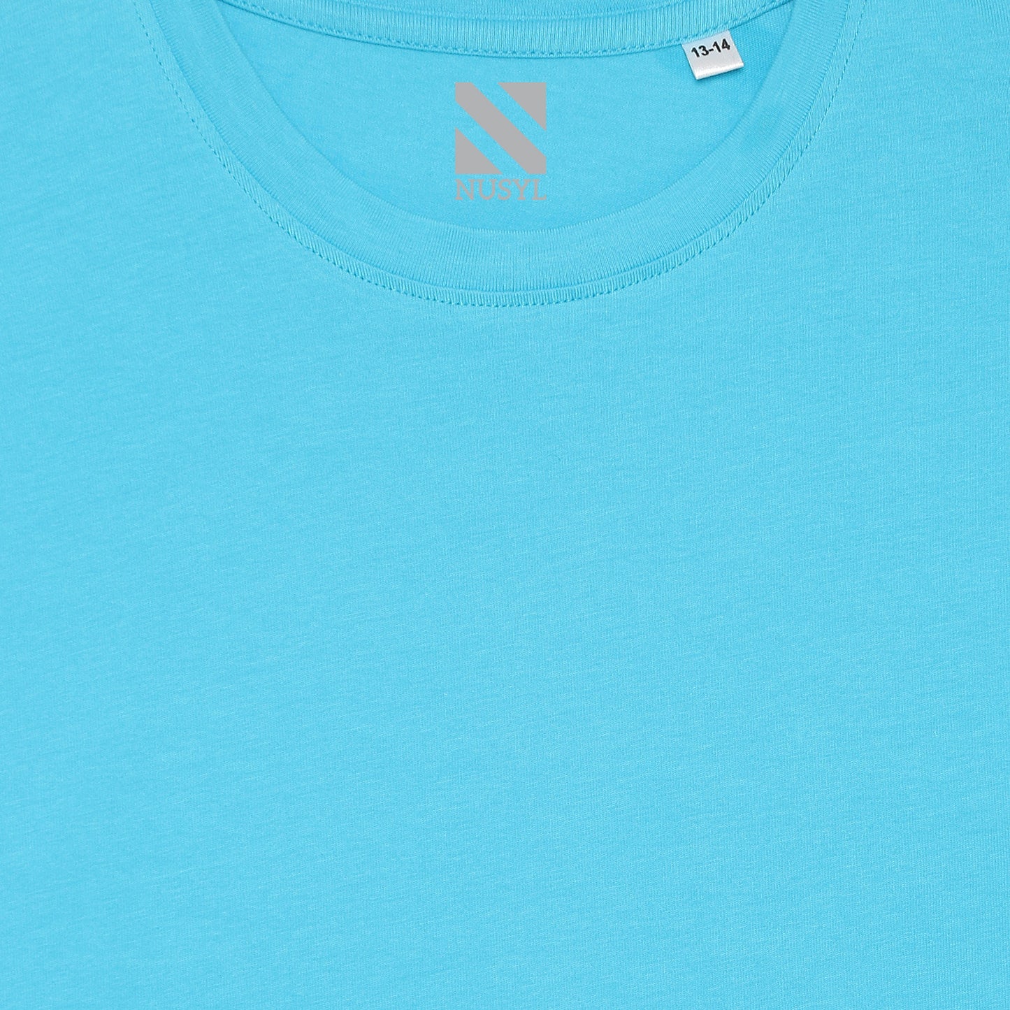 Nusyl boys dino printed sky blue colored cotton rich tshirt