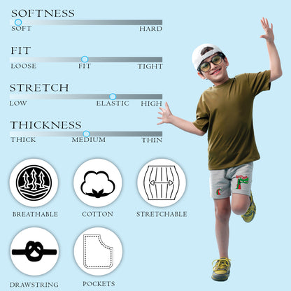 Nusyl Boys Grey Dinosaur & Text Printed  Shorts