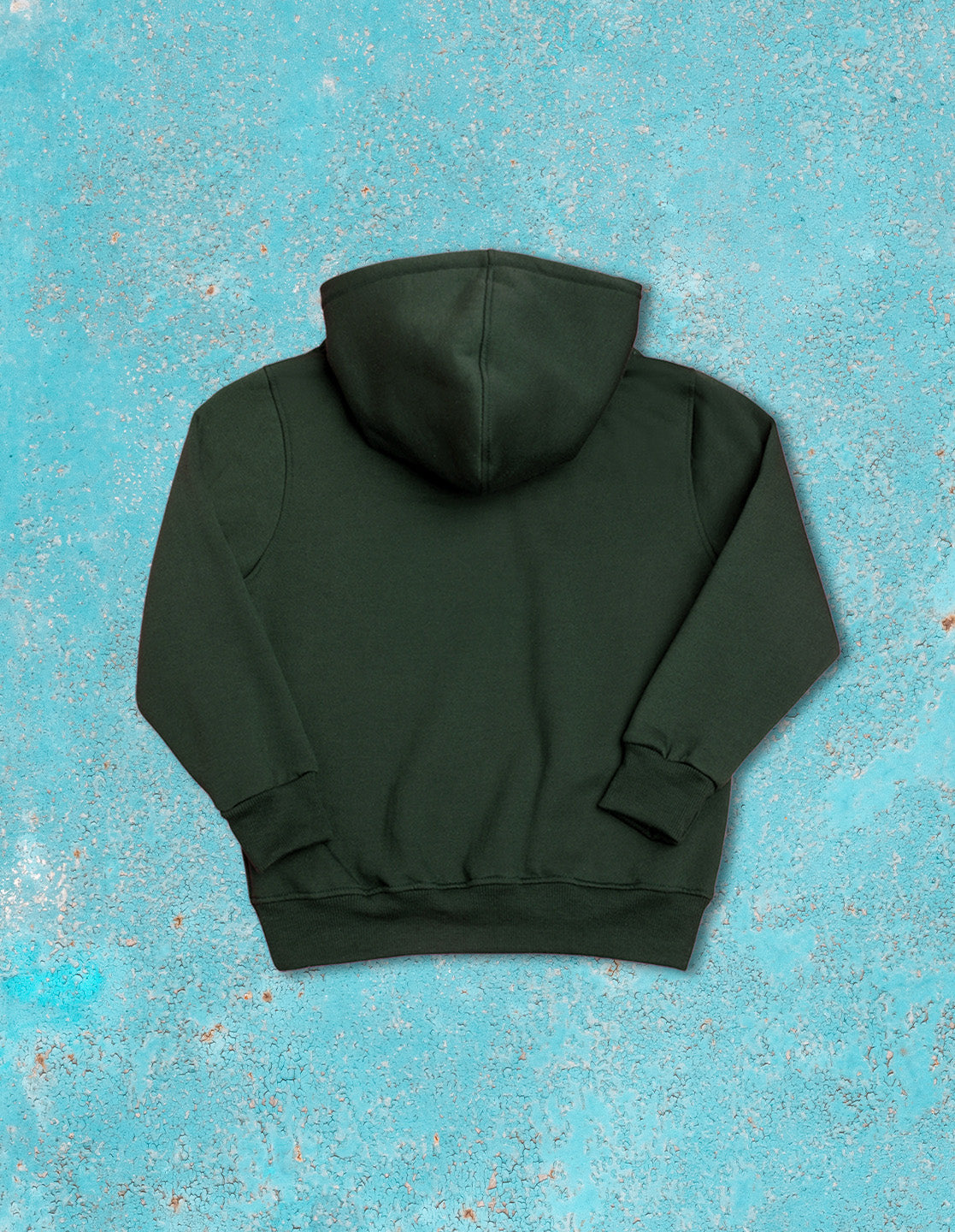 Nusyl Boy's Olive Carpe diem text  Printed Hoodie